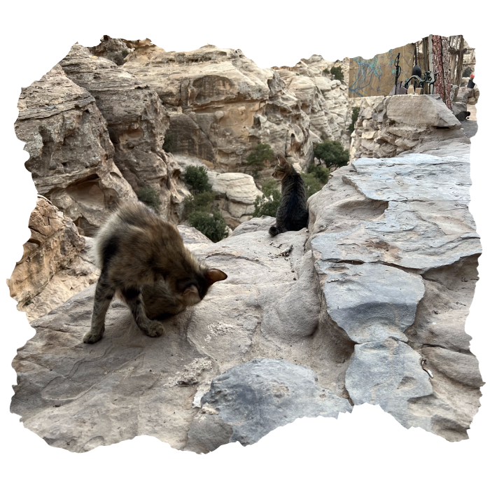 Little Petra by Night Tea House C